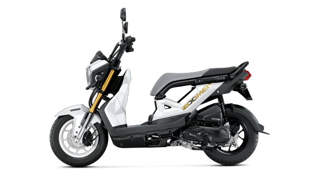Honda Zoomer X - Scooter and bike for rent in Chiang Mai